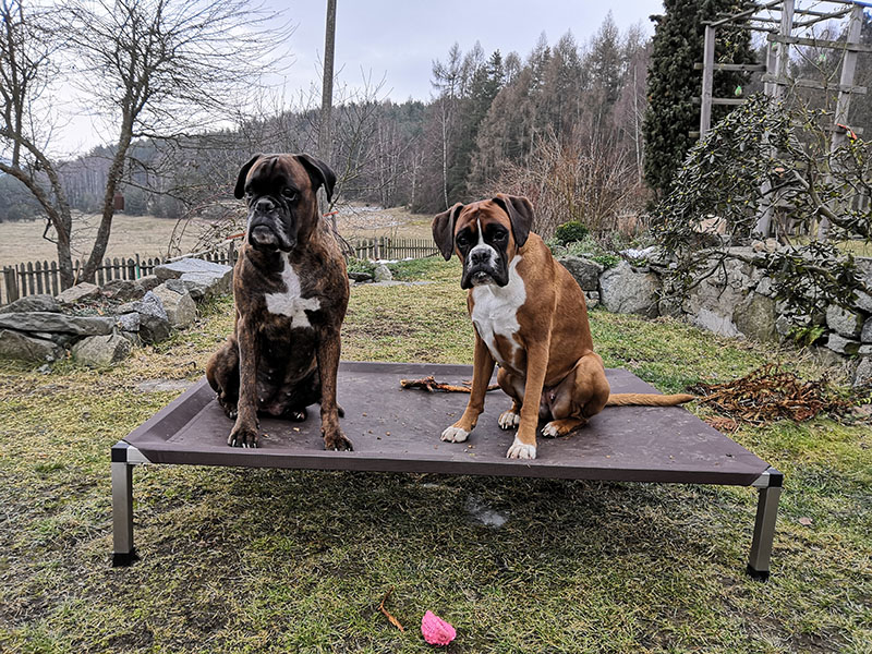 Aura a Laura